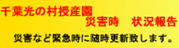 千葉光の村授産園 災害時状況報告（災害など緊急時に随時更新致します。）